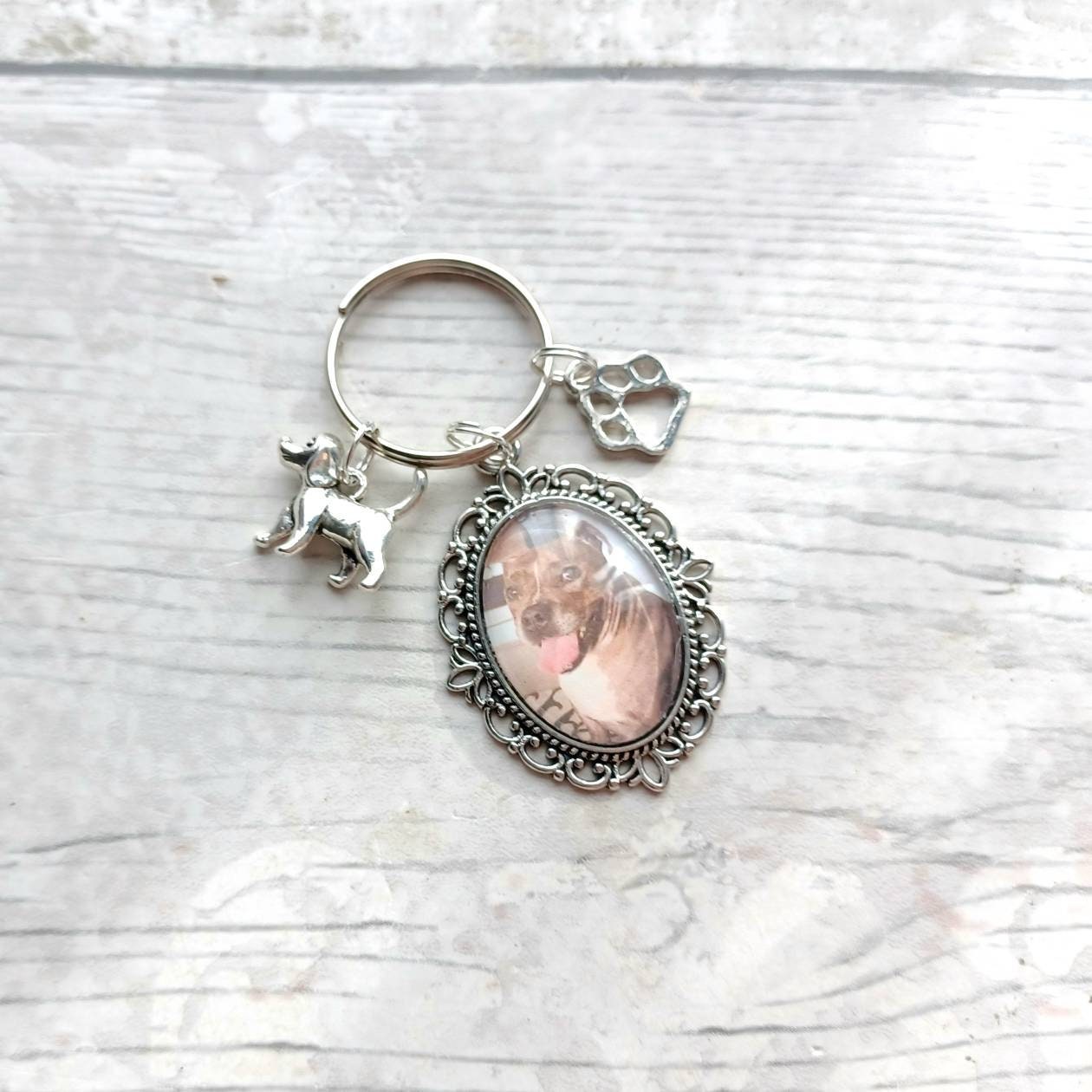 Dog photo keyring, cat memorial keepsake, paw print keychain, pet loss gift, missing you forever