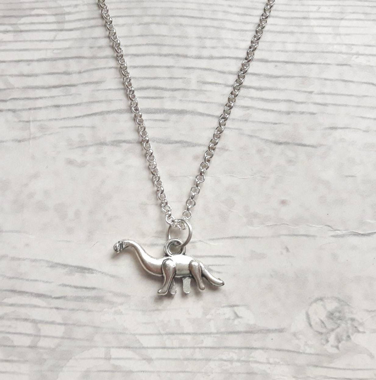 Dinosaur necklace, brachiosaurus jewelry, dino jewellery, jurassic necklace, t-rex pendant, long neck dino gift, personalised gift for kids