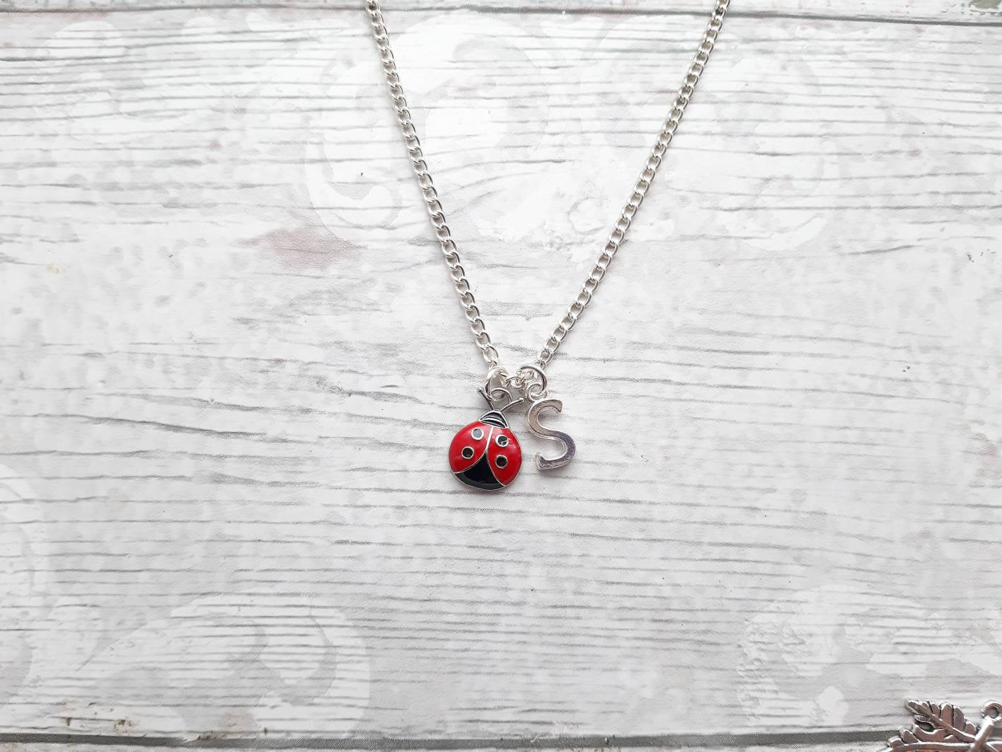 ladybird necklace, personalized initial jewelry, insect necklace, ladybug gift, bug lover present, mothers day gift